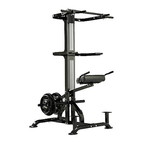 อุปกรณ์ออกกำลังกาย FITWHEY POWERTEC อุปกรณ์ CHIN DIP ASSIST PLUS L-CDA +13