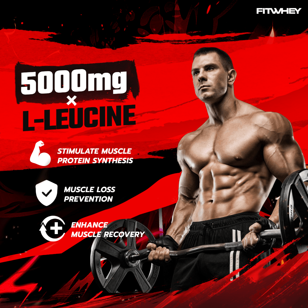 ผลิตภัณฑ์เสริมอาหาร FITWHEY SUPPLEMENTS L-LEUCINE 5000 300 G