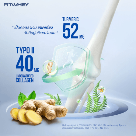 ผลิตภัณฑ์เสริมอาหาร FITWHEY SUPPLEMENTS UNDENATURE COLLAGEN TYPE II 40MG + TURMERIC 52MG_3