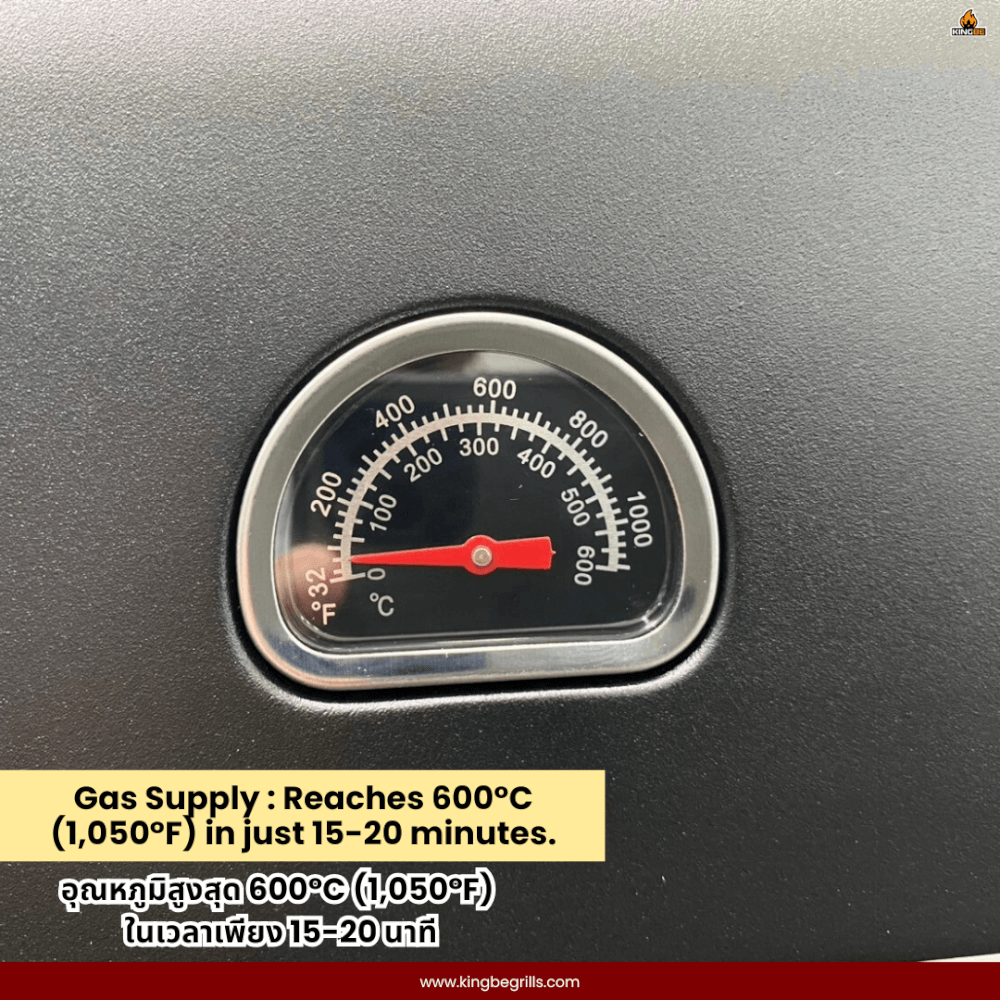 เตาอบพิซซ่า 2 เชื้อเพลิง KINGBE รุ่น MILANO DUAL PRO M14 (สำหรับพิซซ่าขนาด 14นิ้ว)