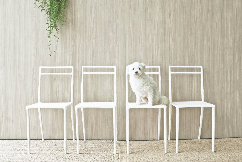 ชุดสนาม 6 ที่นั่ง INGFAH PATIO & OUTDOOR FURNITURE รุ่น POTTER COLLECTION สีขาวงาช้าง