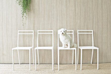 ชุดสนาม 6 ที่นั่ง INGFAH PATIO & OUTDOOR FURNITURE รุ่น POTTER COLLECTION สีขาวงาช้าง_2