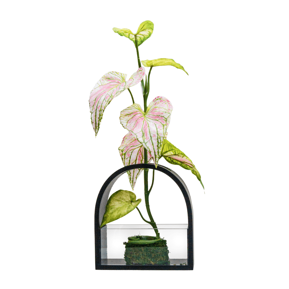 ใบบอนประดิษฐ์ผ้าจัดในแจกัน JGLORYFLOWER สีชมพู แจกันดำ