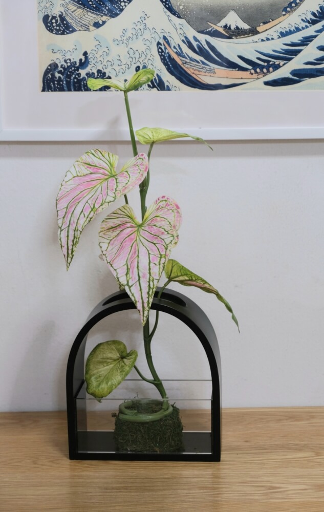 ใบบอนประดิษฐ์ผ้าจัดในแจกัน JGLORYFLOWER สีชมพู แจกันดำ