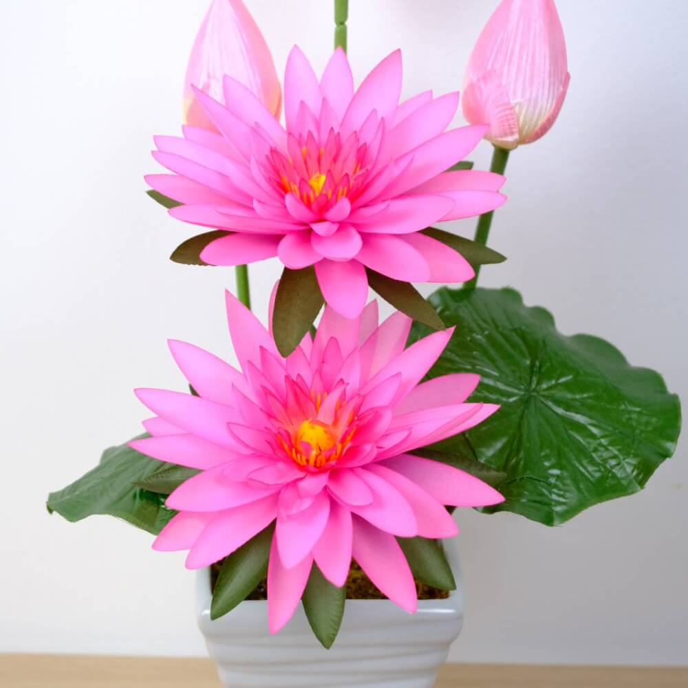 ดอกบัวประดิษฐ์ผ้าในแจกัน  JGLORYFLOWER  สีชมพู