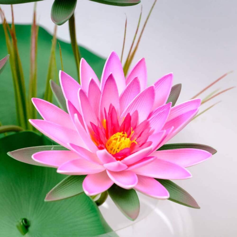 ดอกบัวสายประดิษฐ์ในแจกัน  JGLORYFLOWER  สีชมพู