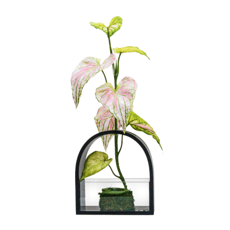 ใบบอนประดิษฐ์ผ้าจัดในแจกัน JGLORYFLOWER สีชมพู แจกันดำ_1