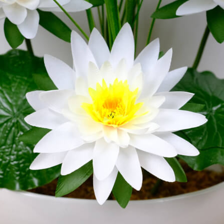 ดอกบัวสายประดิษฐ์ผ้าในแจกัน JGLORYFLOWER  สีขาว_2
