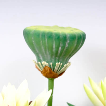 ดอกบัวสายประดิษฐ์ในแจกัน  JGLORYFLOWER  สีเหลือง_3