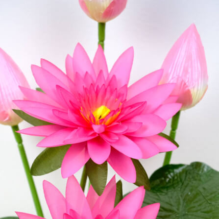 ดอกบัวประดิษฐ์ผ้าในแจกัน  JGLORYFLOWER สีชมพู_3