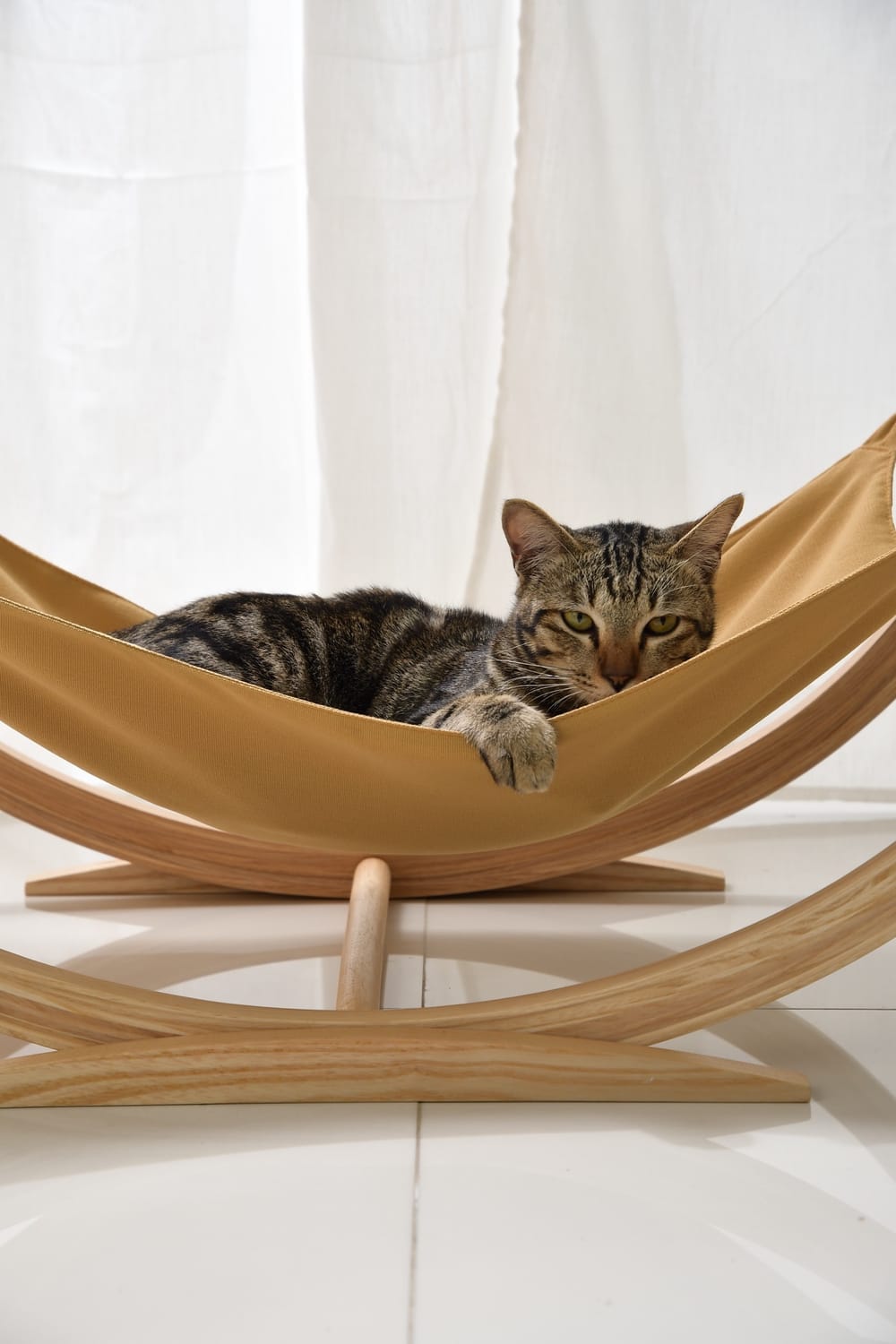 เปลนอนสัตว์เลี้ยง PRIMARY รุ่น SWING HAMMOCK 81X40X36 ซม. สีธรรมชาติ_5