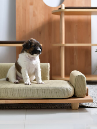 โซฟาสัตว์เลี้ยง PRIMARY รุ่น DOG SOFA ไซต์ L 90X50X25 ซม. สีธรรมชาติ_5