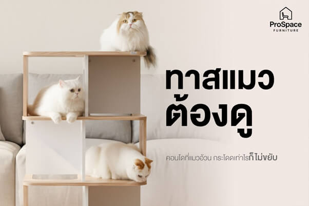 คอนโดแมว สไตล์มินิมอล PROSPACE FURNTIRUE ขนาด 60X40X127.5 ซม. สีไวท์เมเปิ้ล
