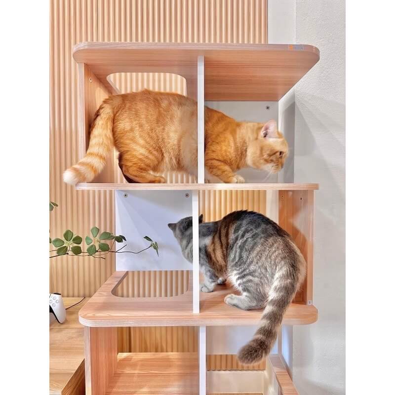 คอนโดแมว สไตล์มินิมอล PROSPACE FURNTIRUE ขนาด 60X40X127.5 ซม. สีไวท์เมเปิ้ล