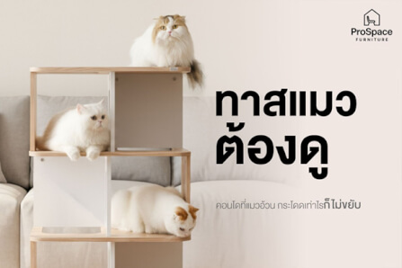 คอนโดแมว สไตล์มินิมอล PROSPACE FURNTIRUE ขนาด 60X40X127.5 ซม. สีไวท์เมเปิ้ล_3
