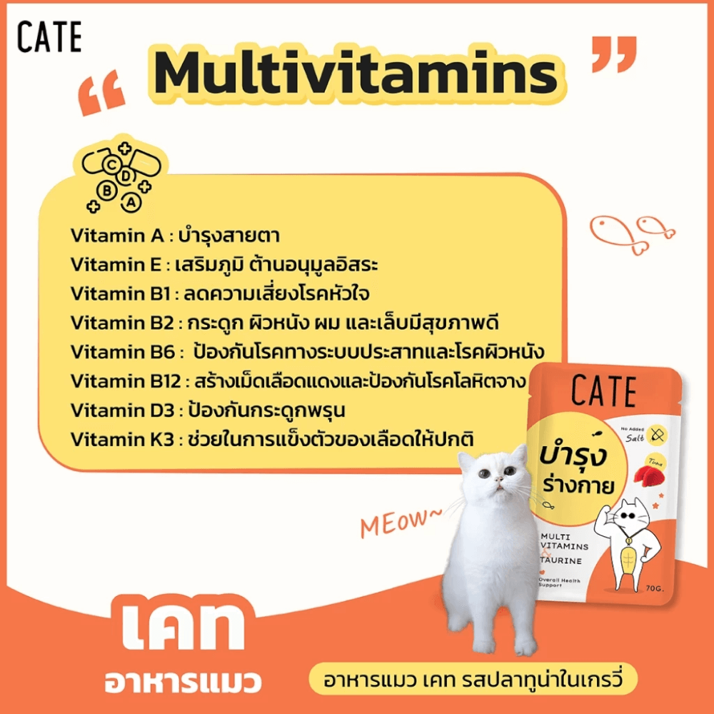 อาหารเปียกแมว CATE รสทูน่า ในน้ำเกรวี่ สูตรบำรุงร่างกาย มี TAURINE (ยกลัง 48 ซอง 70G.)_5