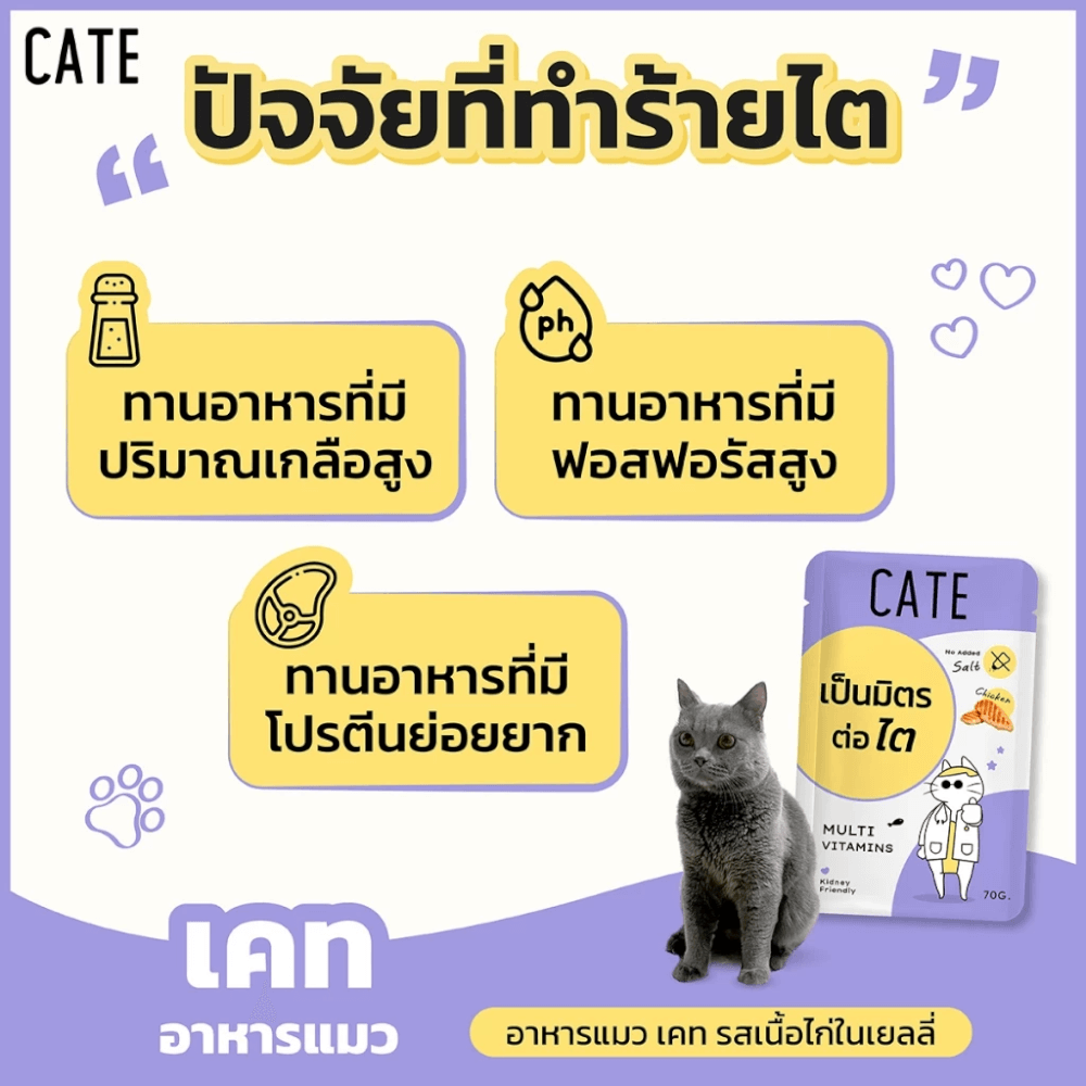 อาหารเปียกแมว CATE รสไก่ ในซอฟท์เจลลี่ สูตรเป็นมิตรต่อไต มีวิตามินรวม 1 ซอง 70G._5