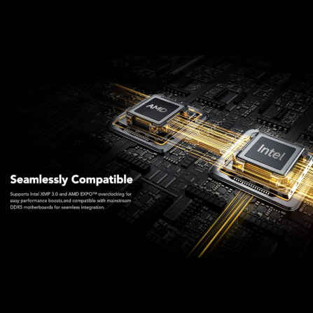 แรมพีซี LEXAR® THOR RGB DDR5 DESKTOP MEMORY 16GB DUAL PACK (LD5U16G60C38BG-RGD)_2