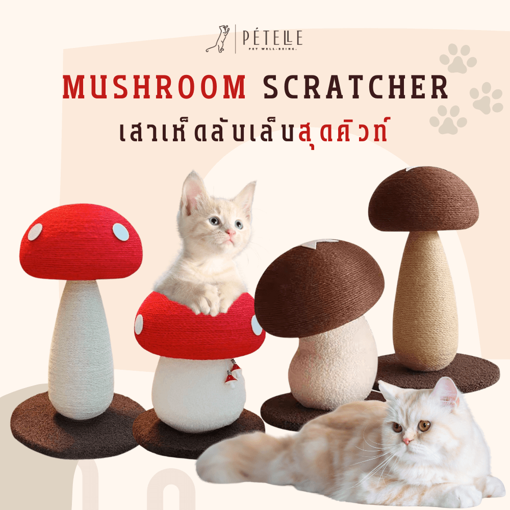 เสาเห็ดลับเล็บแมว PETELLE รุ่น MUSHROOM SCRATCHER ไซส์ S สีน้ำตาล_1