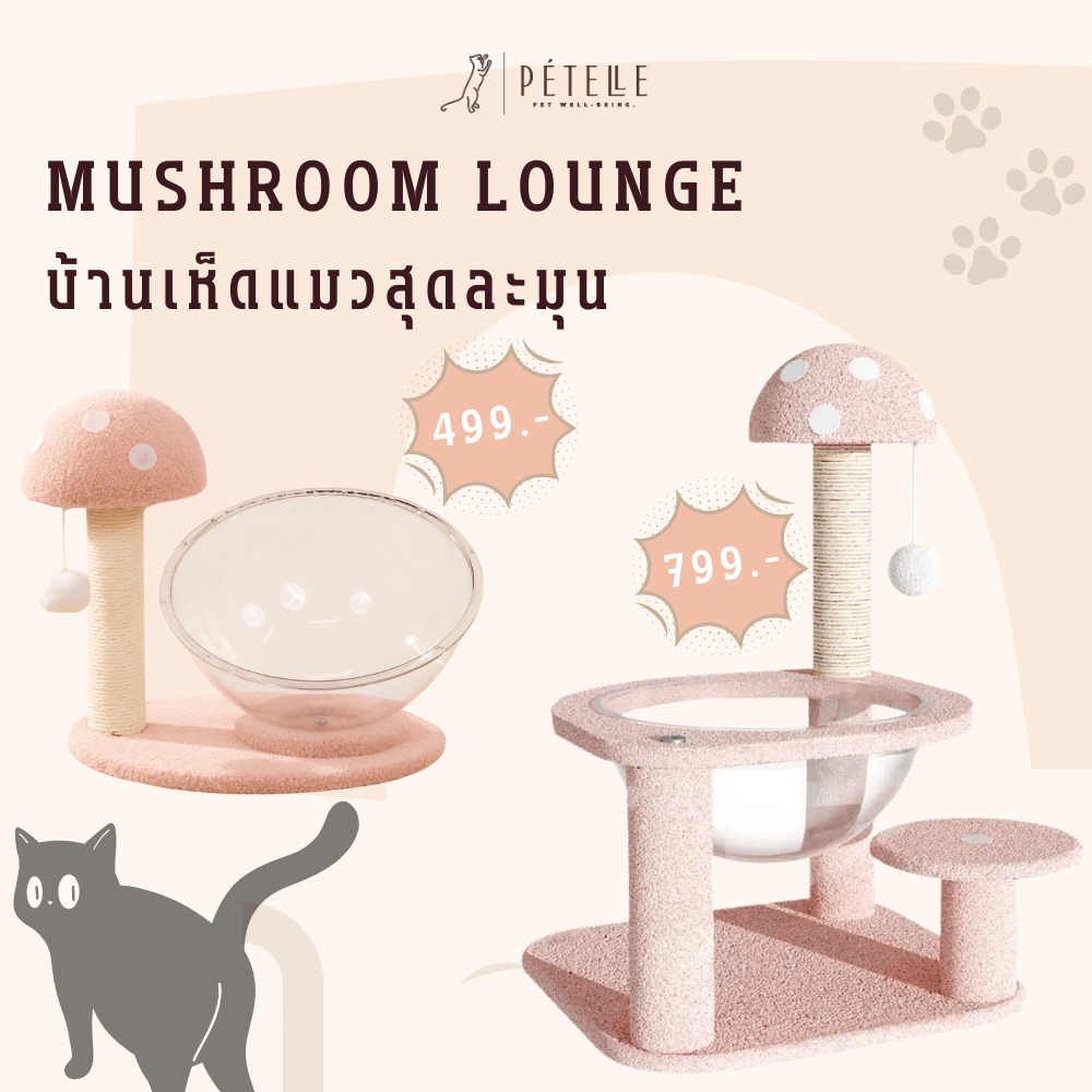 บ้านเห็ดแมวพร้อมโดมใส PETELLE รุ่น MUSHROOM LOUNGE ไซส์ L_1