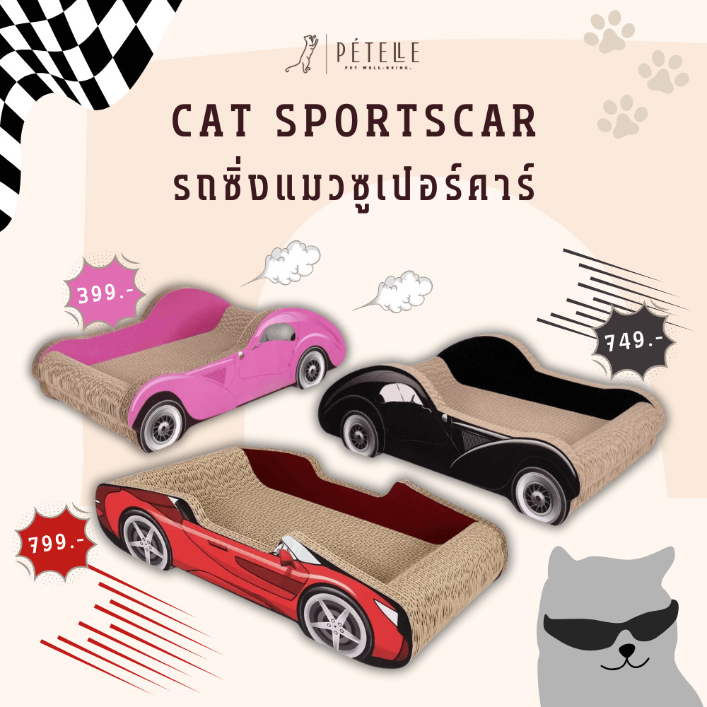 ที่ลับเล็บแมว PETELLE รุ่น CAT SPORTSCAR ทรงรถซูเปอร์คาร์ สีดำ