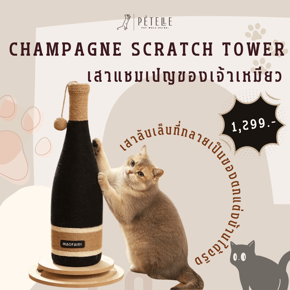 ที่ลับเล็บแมว PETELLE รุ่น CHAMPAGNE SCRATCH TOWER