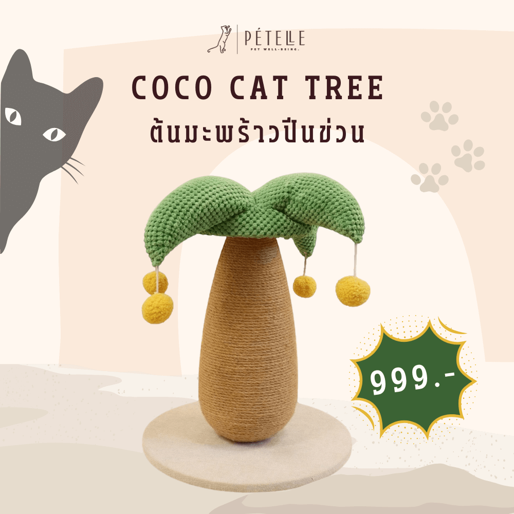 ที่ลับเล็บแมว PETELLE รุ่น COCO CAT TREE