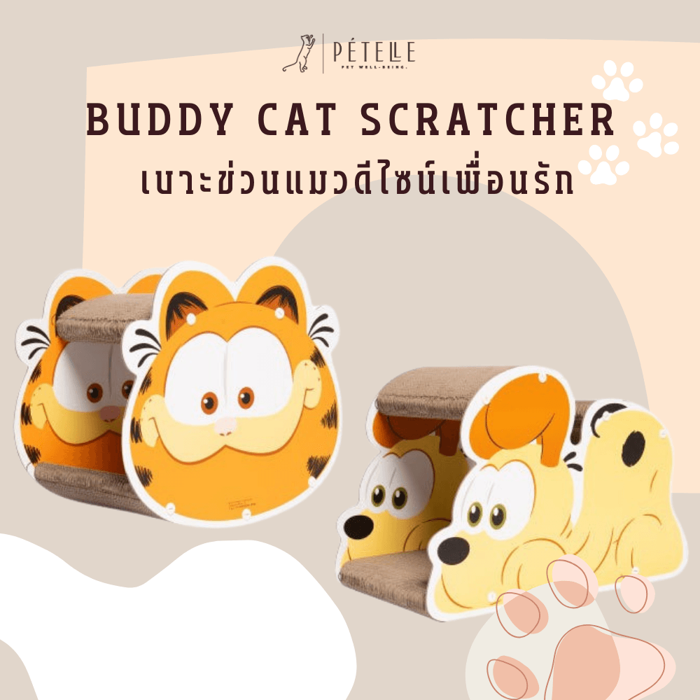 ที่ลับเล็บแมวลายการ์ตูน PETELLE รุ่น BUDDY CAT SCRATCHER (DOODOO)