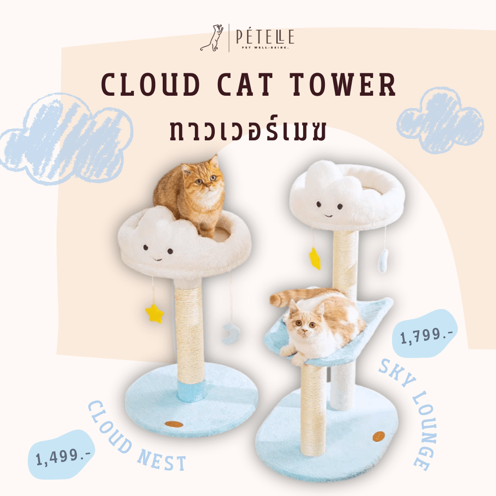 คอนโดแมว PETELLE รุ่นสกายเลานจ์ 2 ชั้น_1