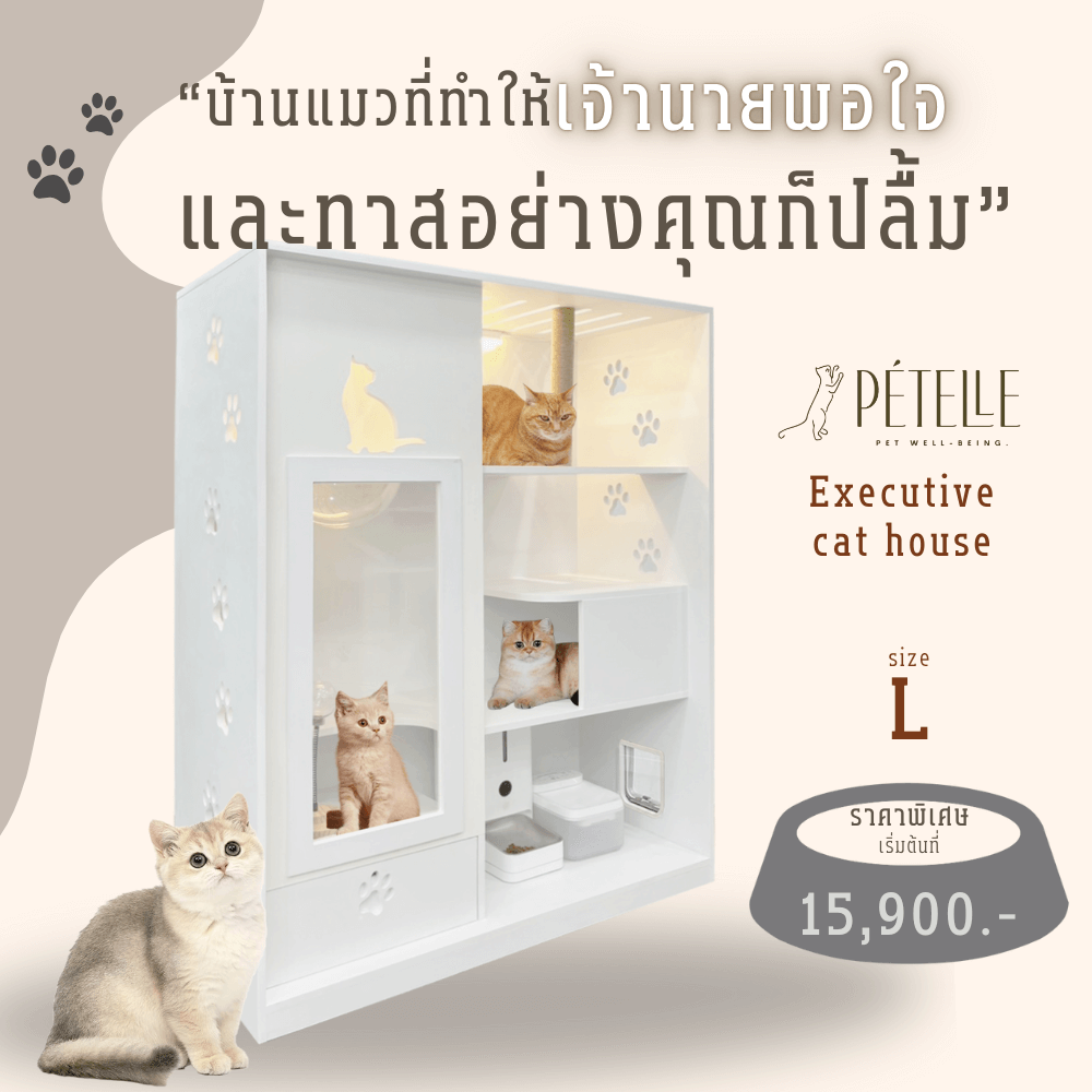 บ้านแมว PETELLE ไซส์ L ขนาด 120X50X150 ซม.