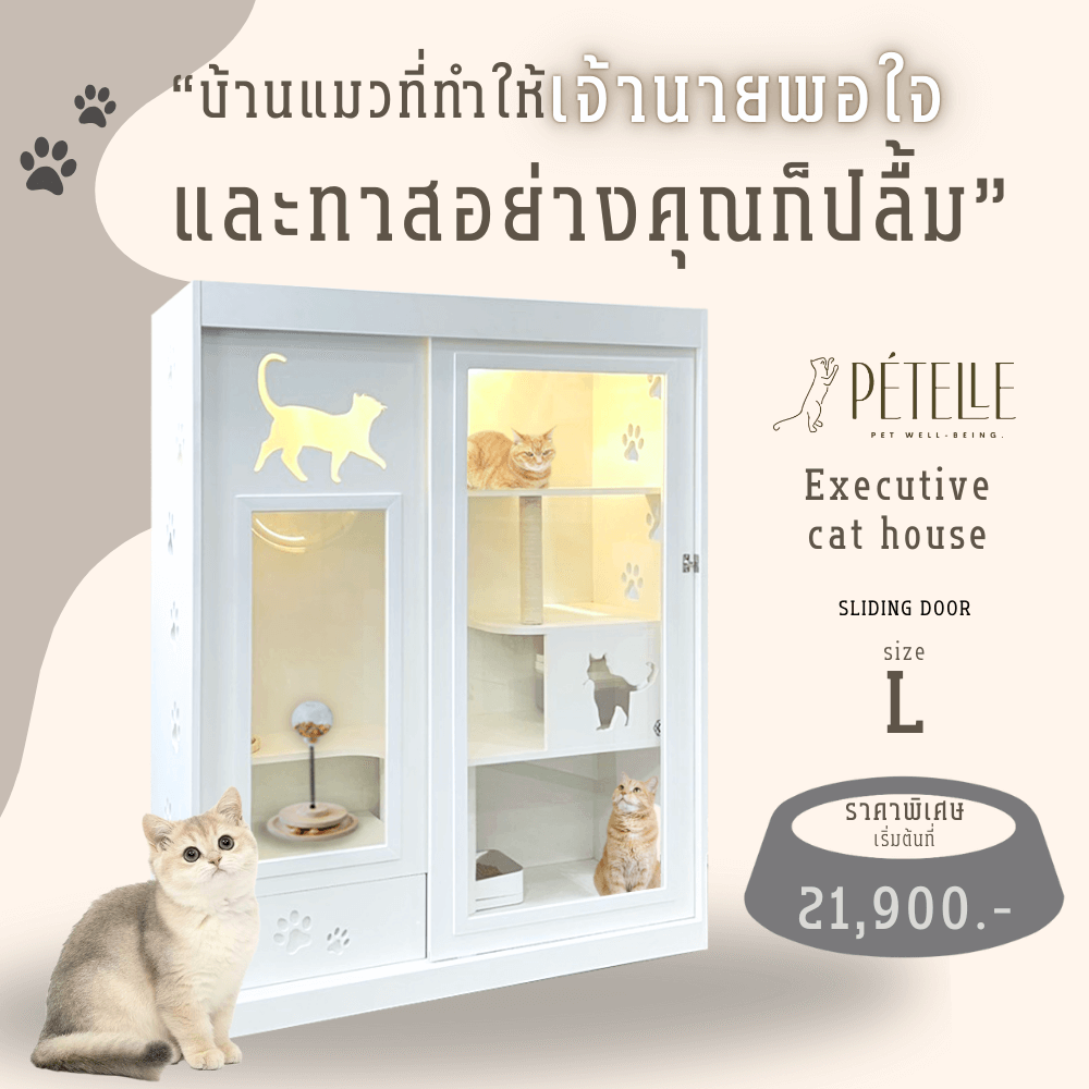 บ้านแมว ประตูบานเลื่อน PETELLE ไซส์ L ขนาด 120X50X150 ซม.