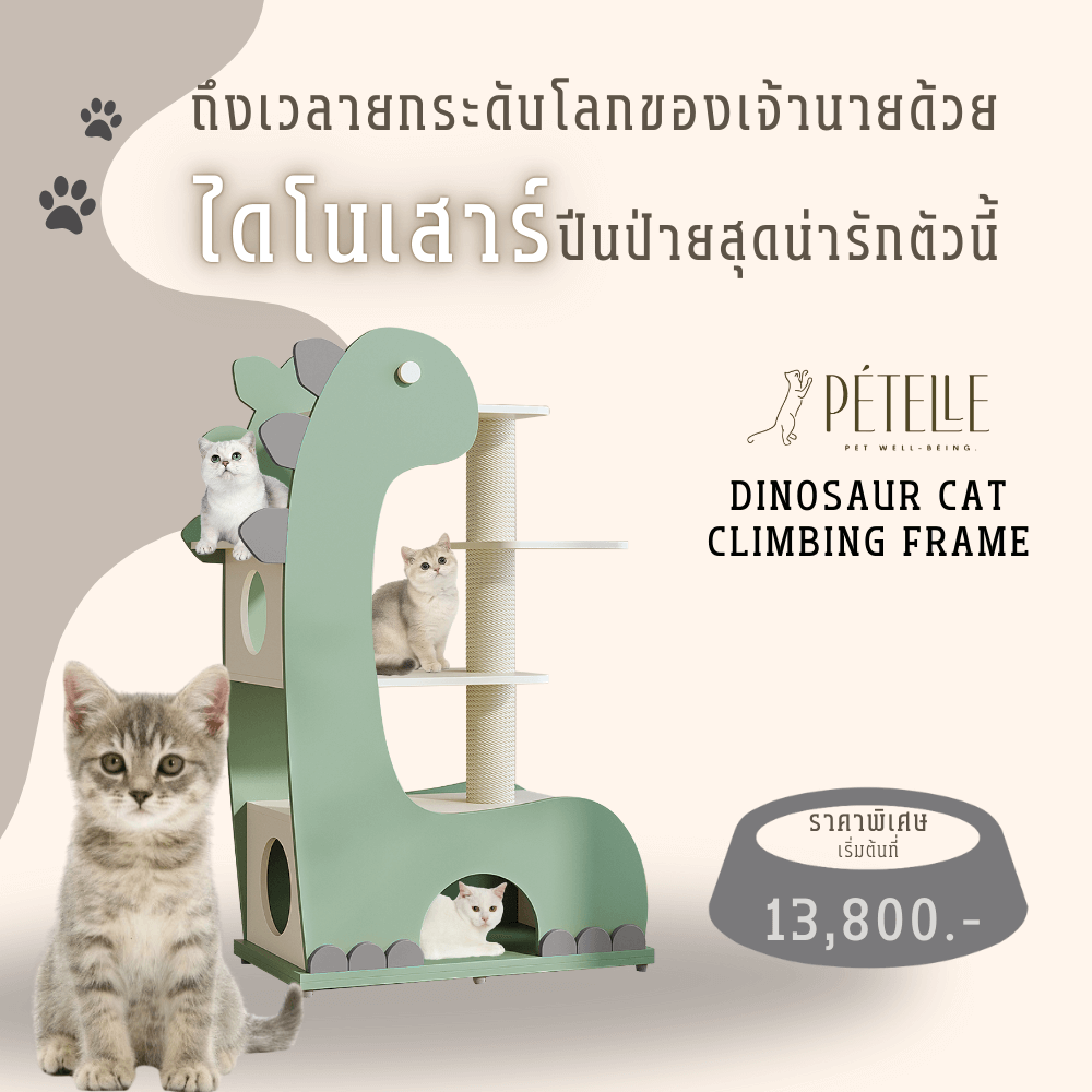 คอนโดแมวพรีเมียม PETELE รุ่น DINOSAUR CAT CLIMBING FRAME_1