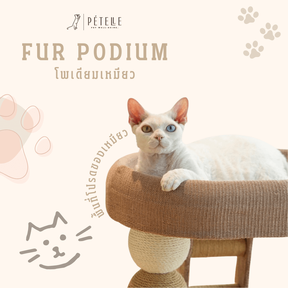 ที่นอนแมวพร้อมที่ปีนเล่น PETELLE รุ่น FUR PODIUM_2