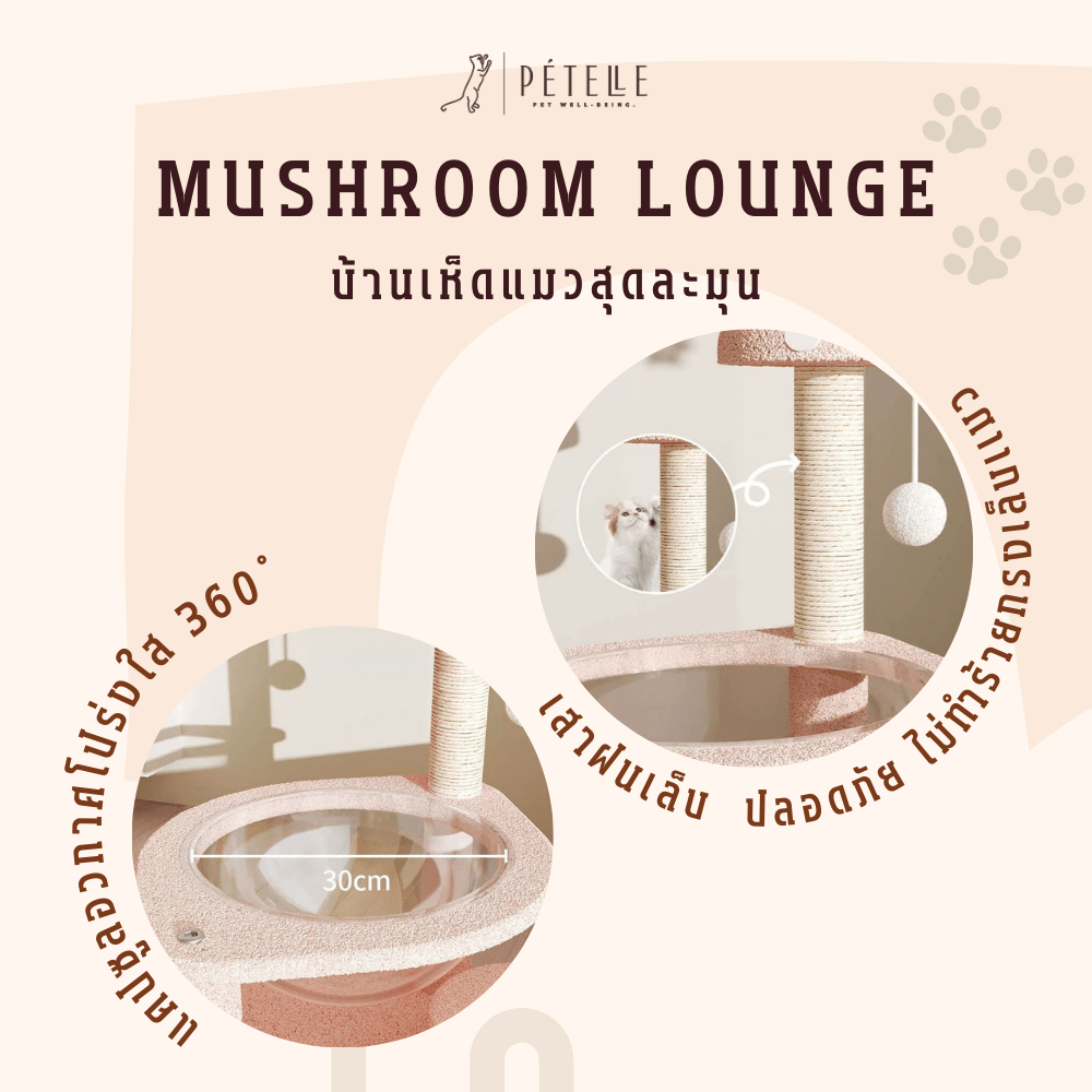 บ้านเห็ดแมวพร้อมโดมใส PETELLE รุ่น MUSHROOM LOUNGE ไซส์ L_2