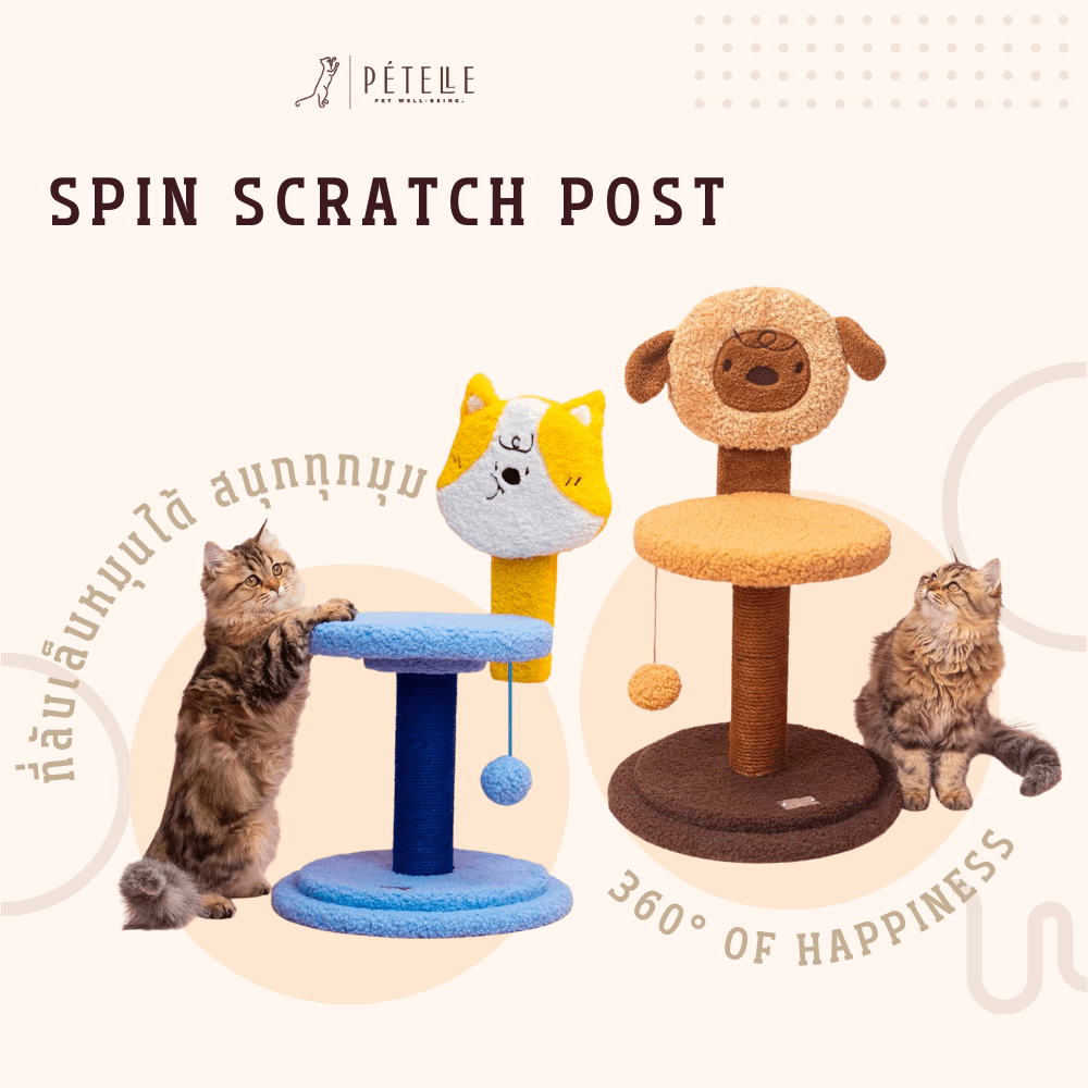 ที่ลับเล็บแมว PETELLE รุ่น SPIN SCRATCH POST สีฟ้า (SWEETIE SPIN)_2
