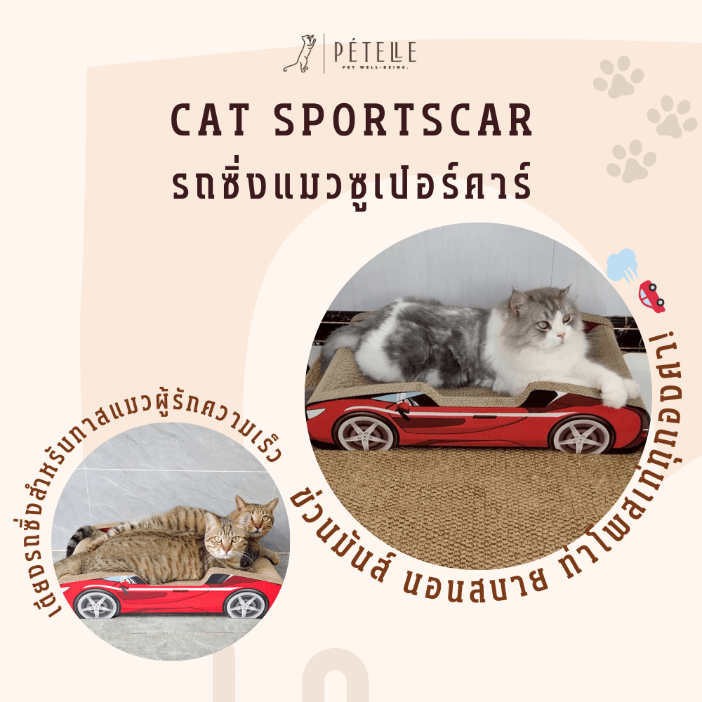 ที่ลับเล็บแมว PETELLE รุ่น CAT SPORTSCAR ทรงรถซูเปอร์คาร์ สีแดง