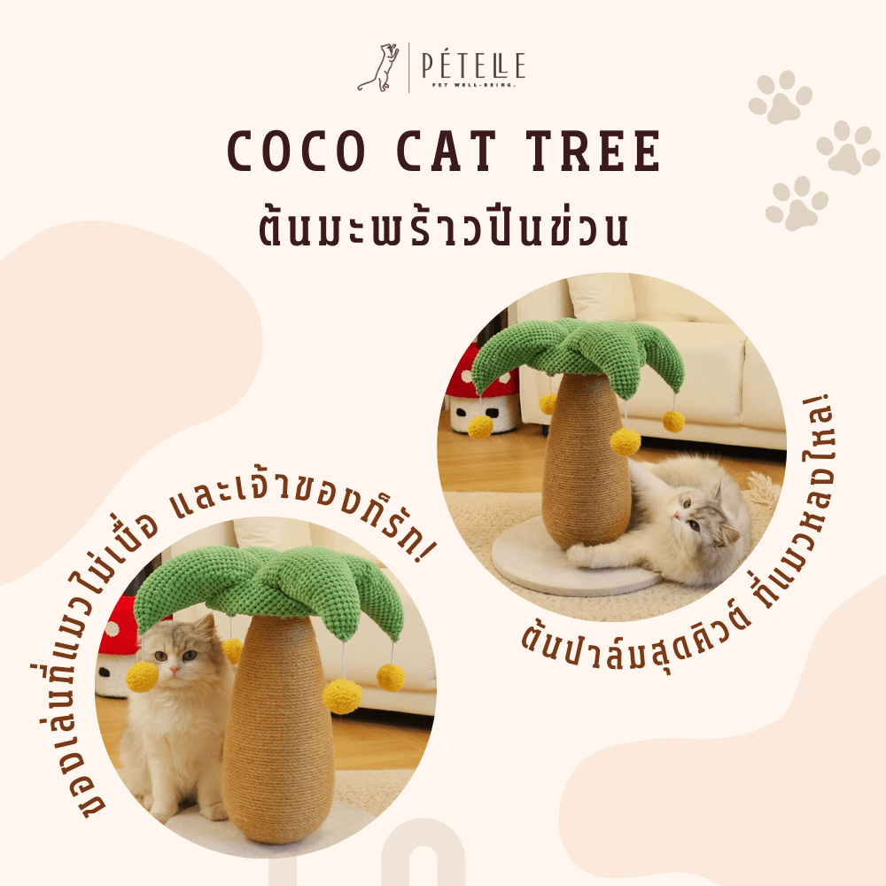 ที่ลับเล็บแมว PETELLE รุ่น COCO CAT TREE