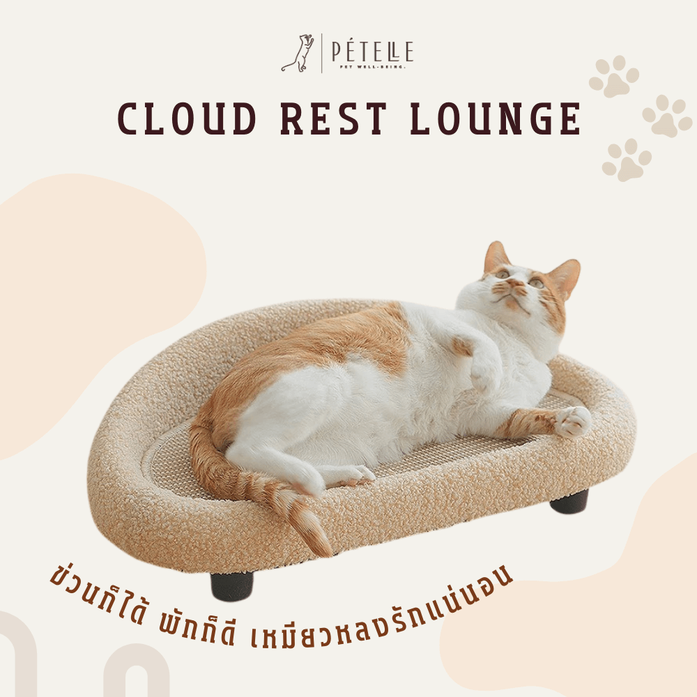 ที่นอนสัตว์เลี้ยง PETELLE รุ่น CLOUD REST LOUNGE_2
