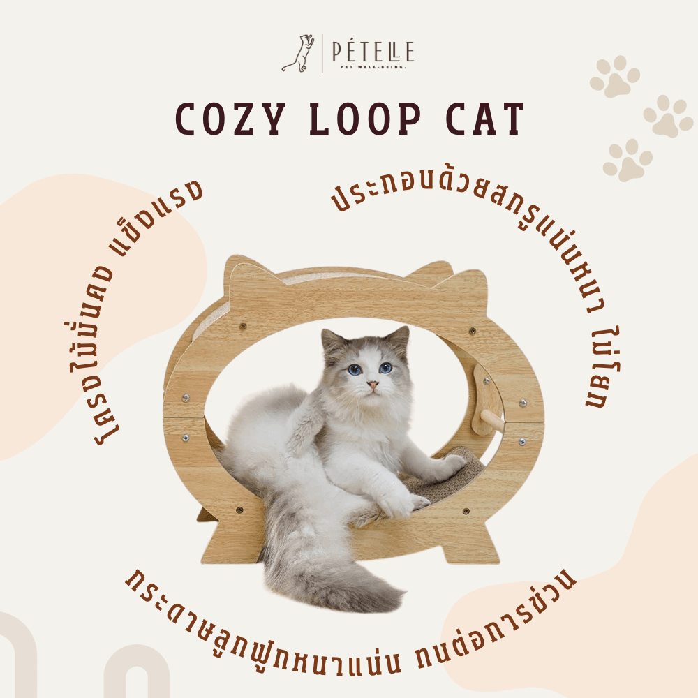 ที่นอนแมวแบบอุโมงค์สองชั้น PETELLE รุ่น COZY LOOP CAT วัสดุกระดาษลูกฟูกและโครงไม้