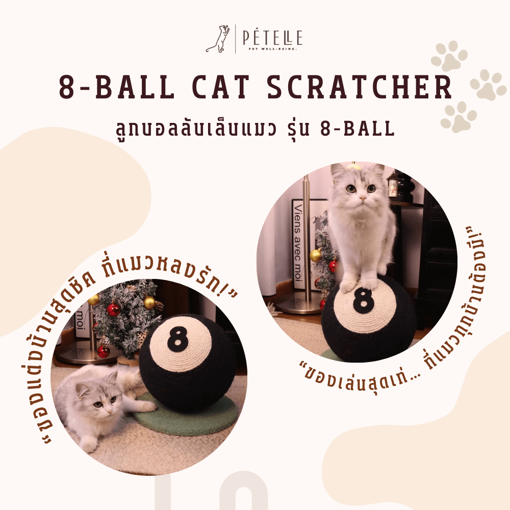 ที่ลับเล็บแมวทรงลูกบิลเลียด PETELLE รุ่น 8-BALL