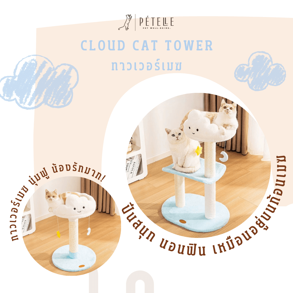 คอนโดแมว PETELLE รุ่นสกายเลานจ์ 2 ชั้น_2