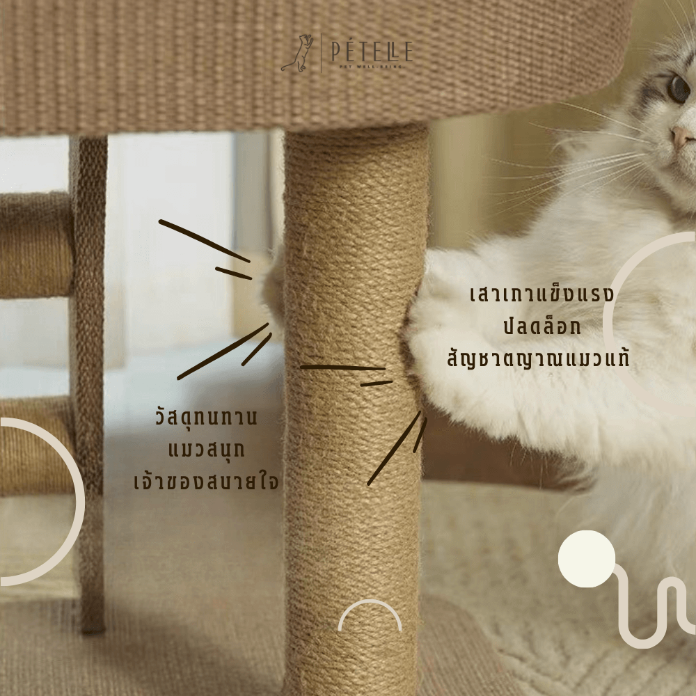 ที่นอนแมวพร้อมที่ปีนเล่น PETELLE รุ่น FUR PODIUM_3
