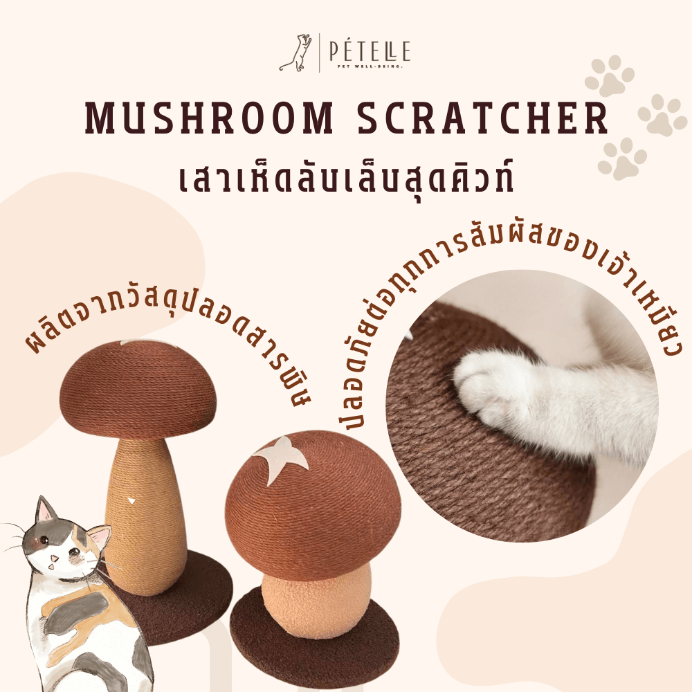 เสาเห็ดลับเล็บแมว PETELLE รุ่น MUSHROOM SCRATCHER ไซส์ M สีน้ำตาล_3