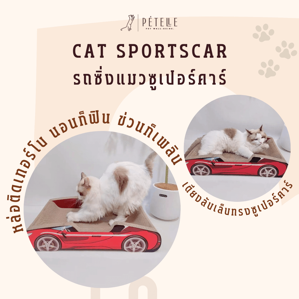 ที่ลับเล็บแมว PETELLE รุ่น CAT SPORTSCAR ทรงรถซูเปอร์คาร์ สีแดง