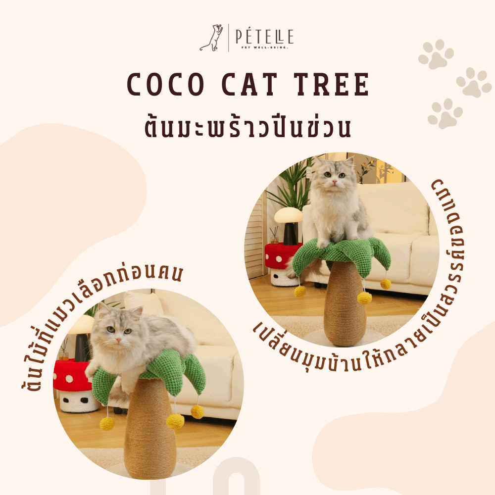 ที่ลับเล็บแมว PETELLE รุ่น COCO CAT TREE