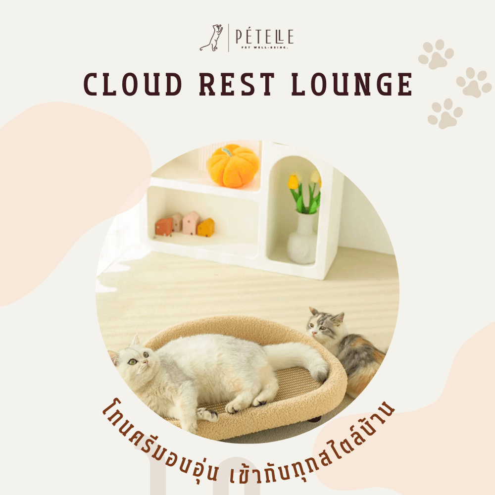 ที่นอนสัตว์เลี้ยง PETELLE รุ่น CLOUD REST LOUNGE_3