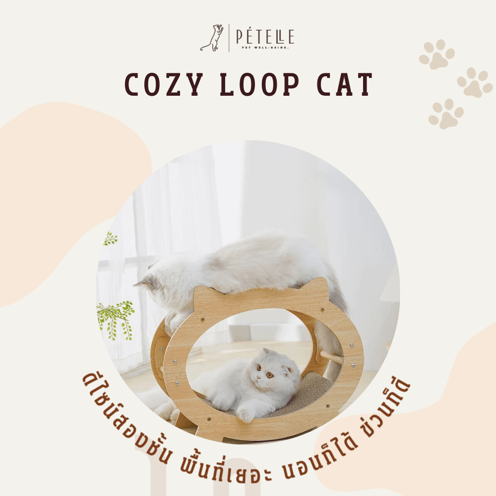 ที่นอนแมวแบบอุโมงค์สองชั้น PETELLE รุ่น COZY LOOP CAT วัสดุกระดาษลูกฟูกและโครงไม้