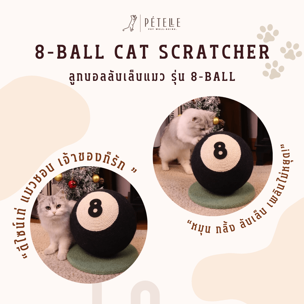 ที่ลับเล็บแมวทรงลูกบิลเลียด PETELLE รุ่น 8-BALL