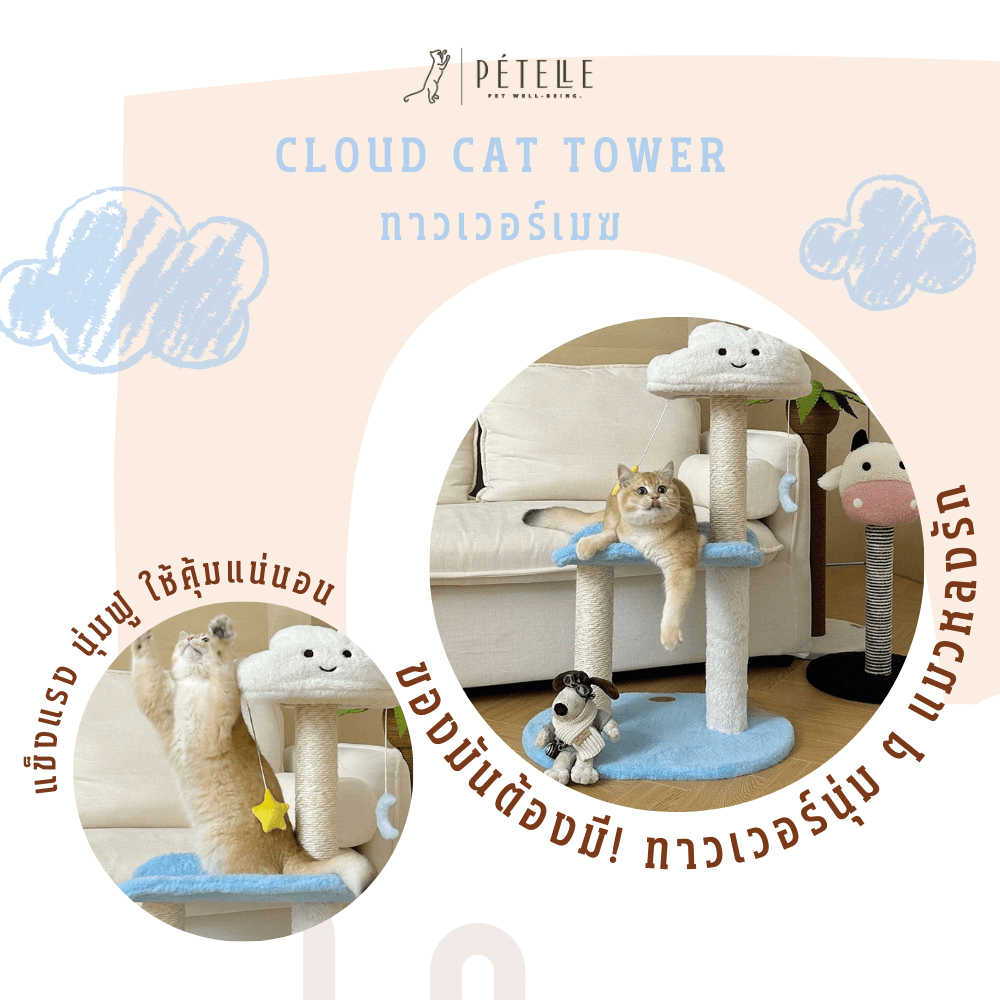 คอนโดแมว PETELLE รุ่นสกายเลานจ์ 2 ชั้น_3