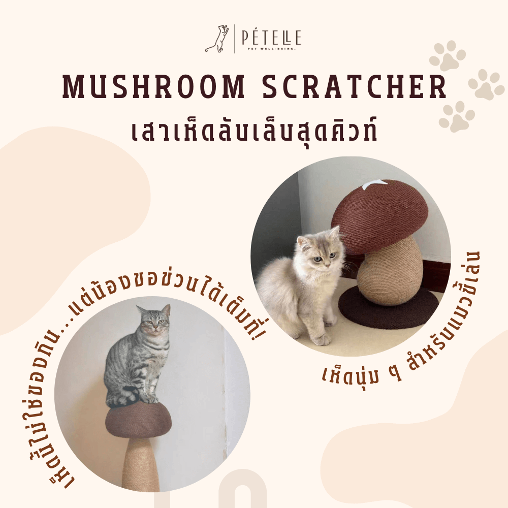 เสาเห็ดลับเล็บแมว PETELLE รุ่น MUSHROOM SCRATCHER ไซส์ M สีน้ำตาล_4